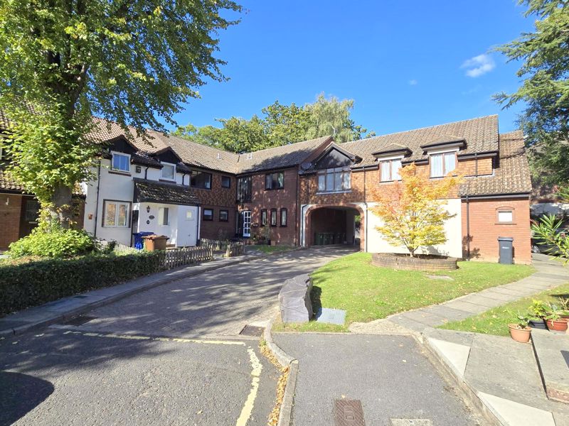 Main Image